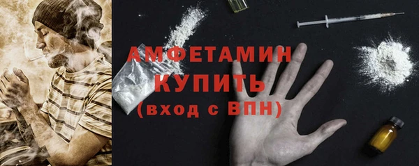 стаф Инта