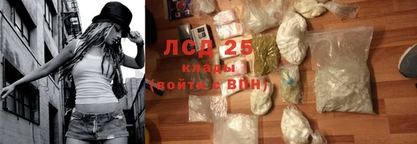 стаф Инта