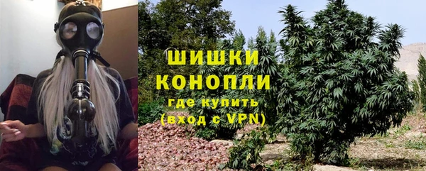 стаф Инта