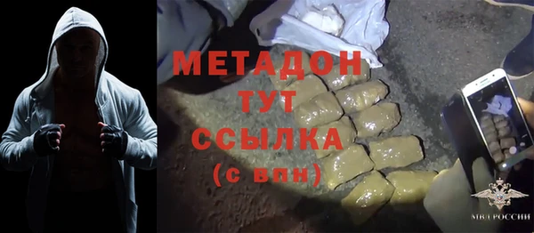 стаф Инта