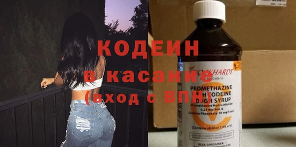 соль ск Инсар