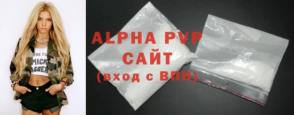 стаф Инта