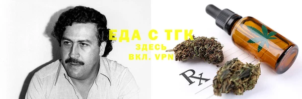 стаф Инта