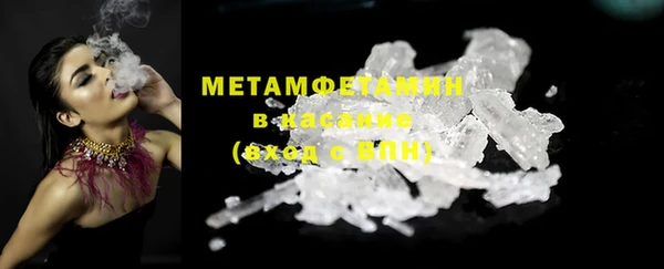 стаф Инта