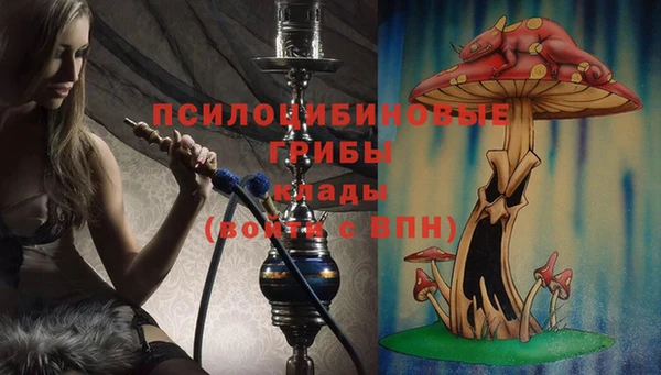соль ск Инсар