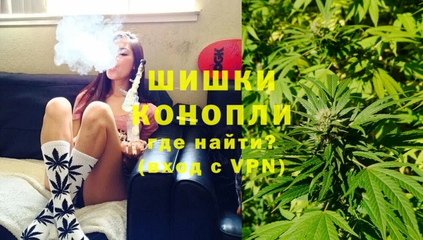 индика Снежинск