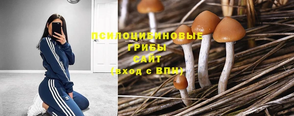 соль ск Инсар