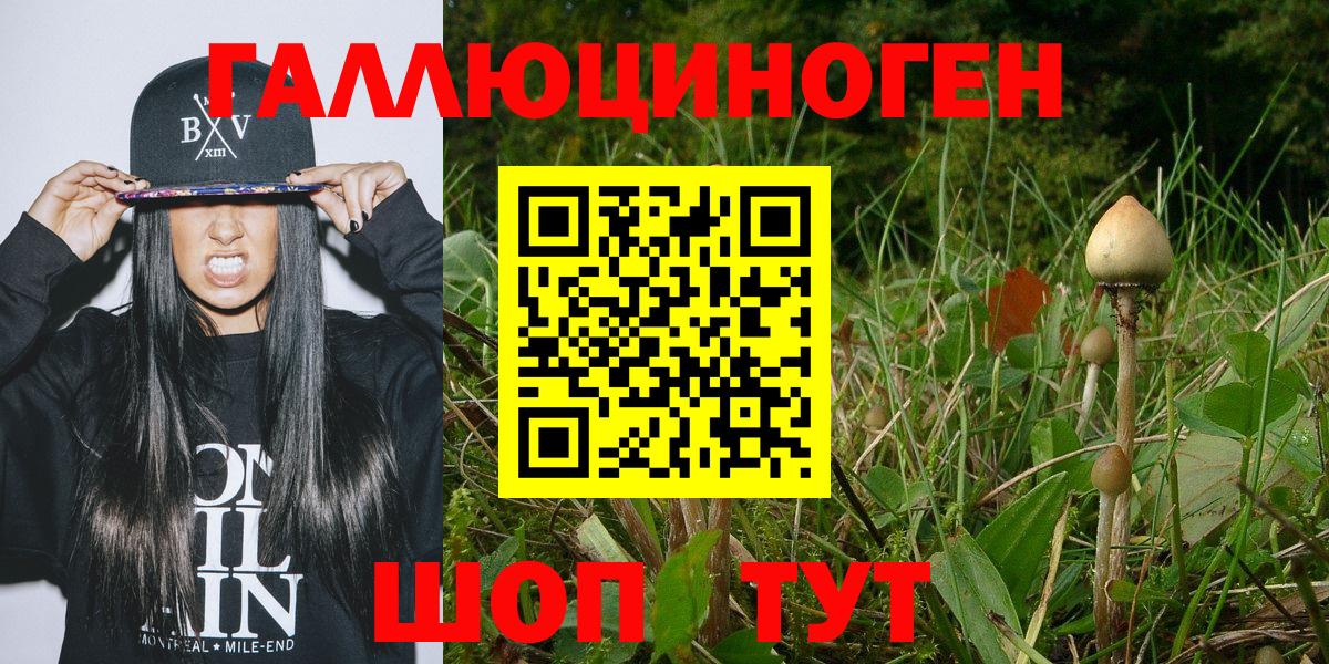 Псилоцибиновые грибы Psilocybe Снежинск