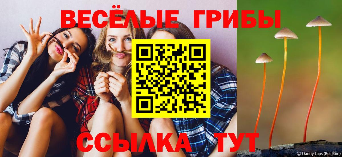 Снежинск  Псилоцибиновые грибы прущие грибы  Вход с VPN  Галлюциногенные грибы ЛСД 